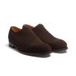 Perforated Oxford [Brown Suede Calfskin]