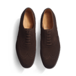 Perforated Oxford [Brown Suede Calfskin]